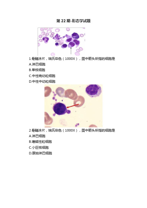 第22期-形态学试题