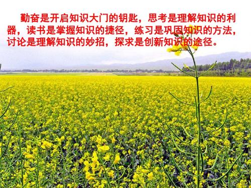 2014年春季新版苏科版八年级数学下学期第11章、反比例函数单元复习课件2