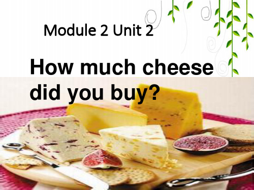 外研版五年级英语上M2U2 How much cheese did you buy？课件