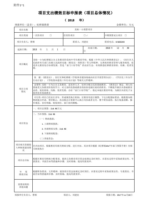 项目支出绩效目标申报表(项目总体情况)