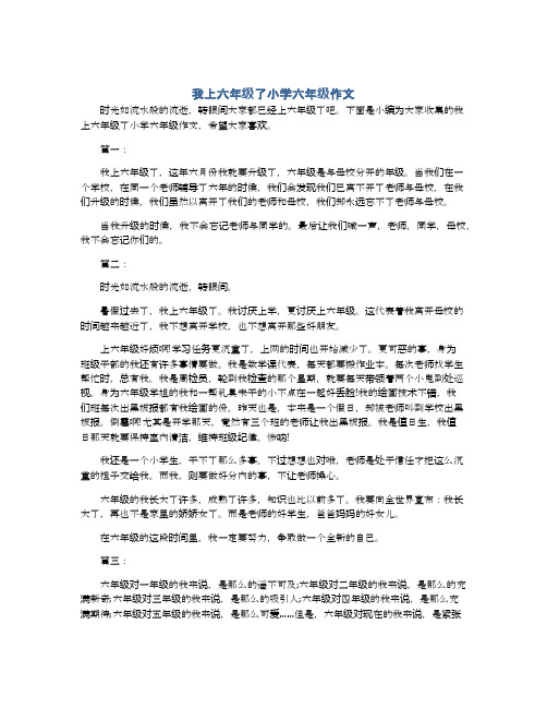 我上六年级了小学六年级作文