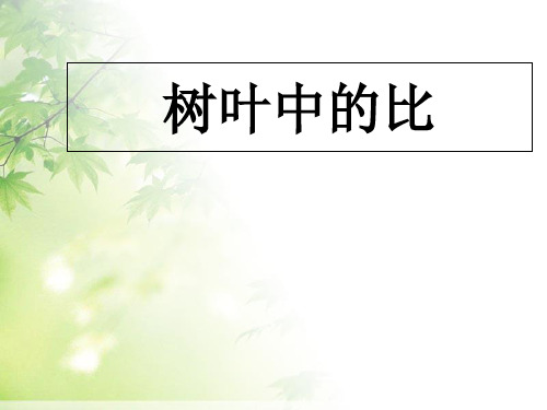 六年级上册数学课件-3 树叶中的比
