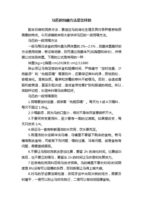 马匹的饲喂方法是怎样的