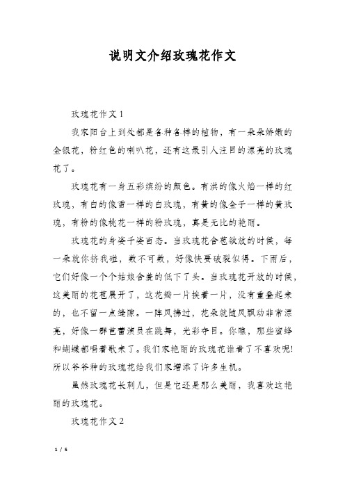 说明文介绍玫瑰花作文