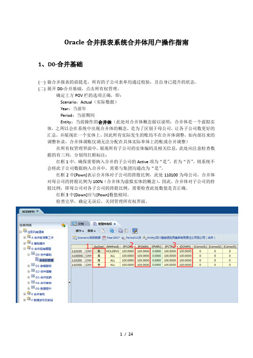 C3-合并体用户系统使用手册V1.0