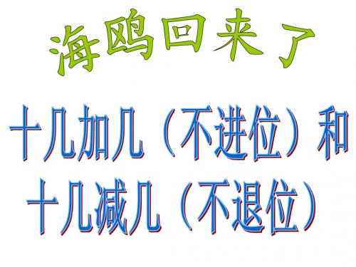 海鸥回来了信息窗二