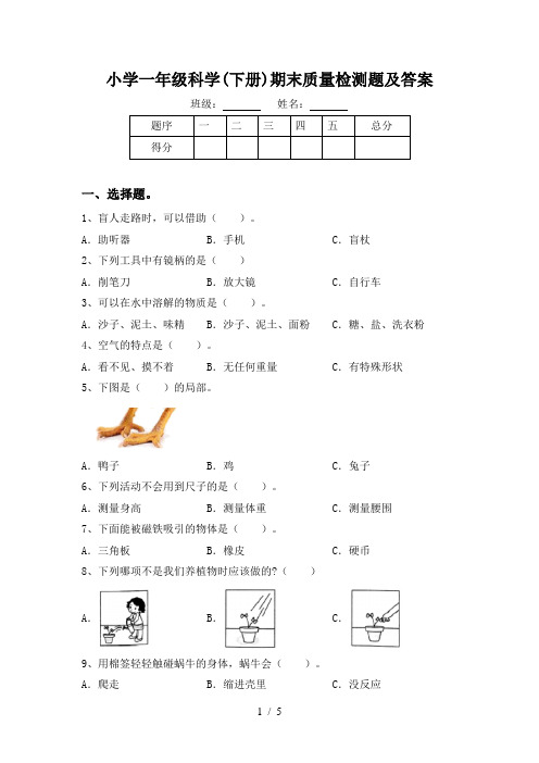 小学一年级科学(下册)期末质量检测题及答案