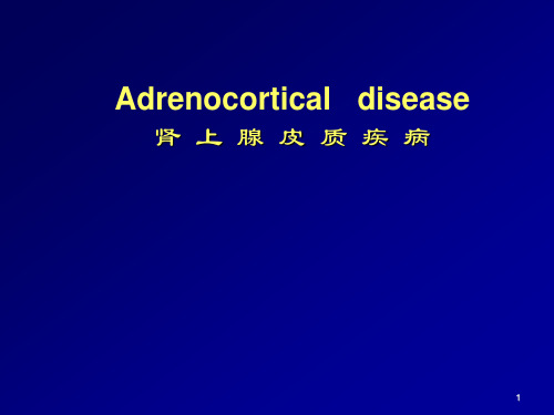 皮质醇PPT演示课件
