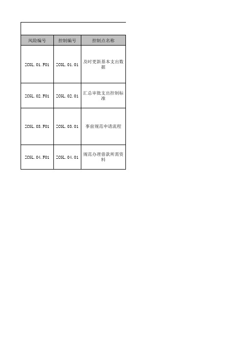 财政预算业务内部控制风险控制矩阵模版