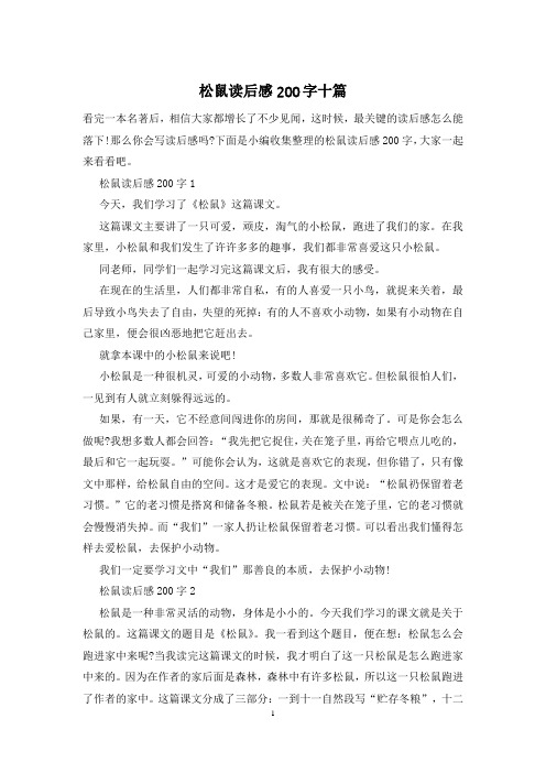 松鼠读后感200字十篇