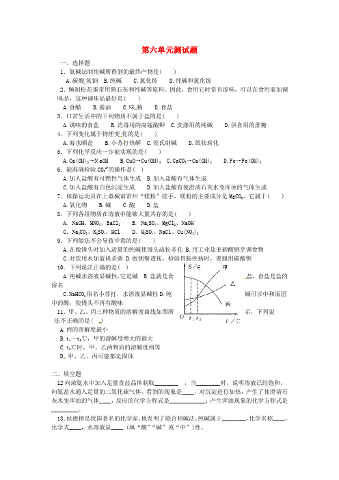 山东省莱州市沙河镇九年级化学全册 第六单元 化学与社会发展测试题(无答案) 鲁教版五四制