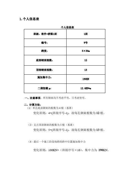 桥梁博士大作业