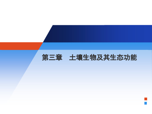 第3章 土壤生物及其生态效应 环境土壤学详述