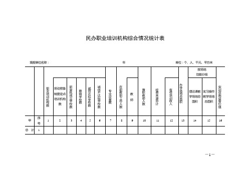 民办职业培训机构综合情况统计表