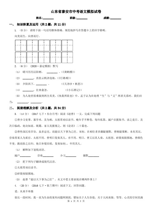 山东省泰安市中考语文模拟试卷