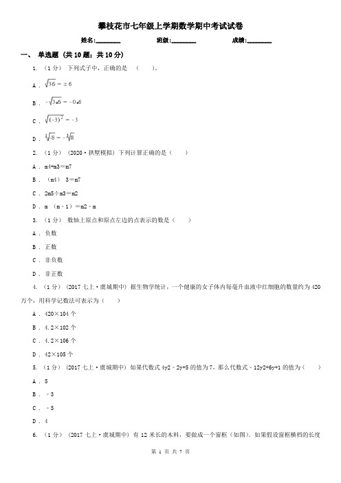 攀枝花市七年级上学期数学期中考试试卷