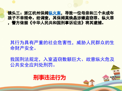 初中道德与法治人教八年级上册遵守社会规则《预防犯罪》--PPT全文