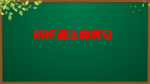 2024届高考专题复习 辨析语法类病句课件80张