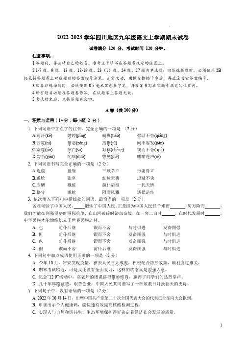 2022-2023学年四川地区九年级语文上学期期末试卷附答案解析