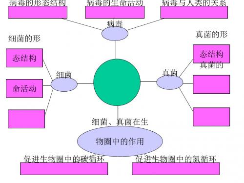 生物圈中的微生物PPT课件1