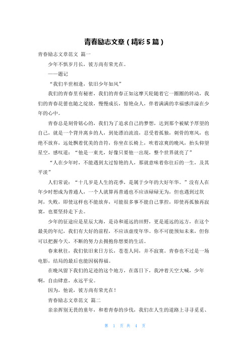 青春励志文章(精彩5篇)