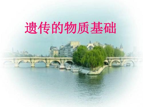 【高中生物】遗传的物质基础ppt3