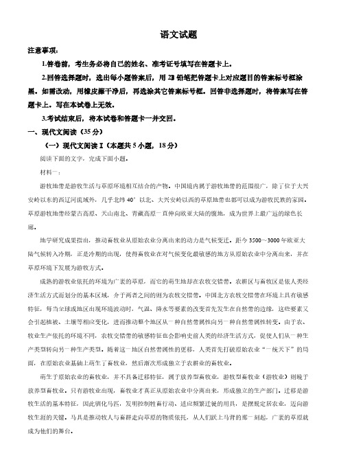 2024年1月普通高等学校招生全国统一考试适应性测试(九省联考)语文试题(广西、吉林)(解析版)