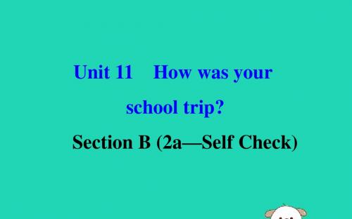 七年级英语下册 Unit 11 How was your school trip Section B