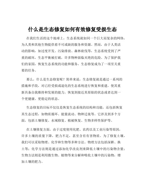 什么是生态修复如何有效修复受损生态