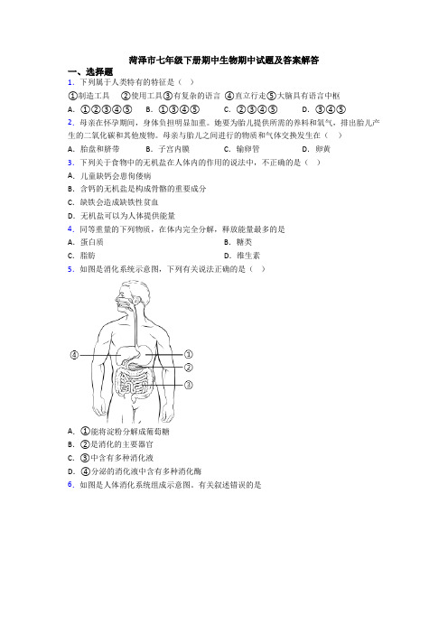 菏泽市七年级下册期中生物期中试题及答案解答