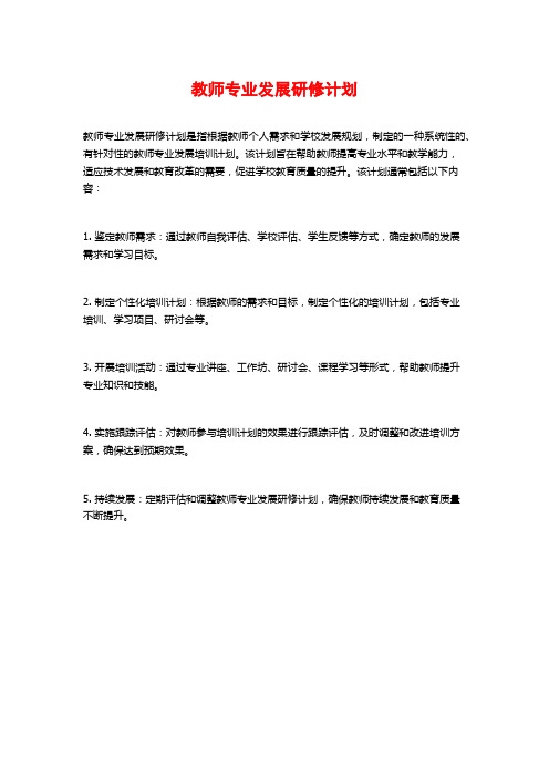 教师专业发展研修计划