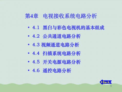 电视接收系统电路分析 (ppt 234页)