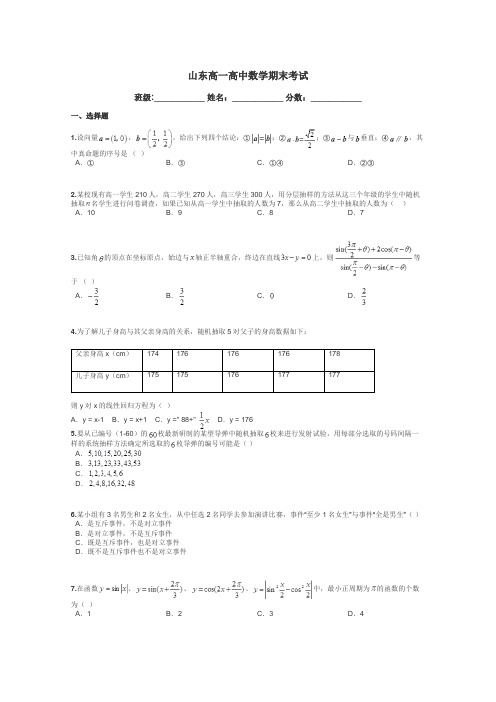 山东高一高中数学期末考试带答案解析
