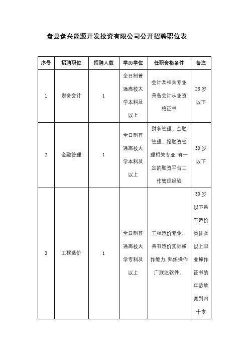 盘县盘兴能源开发投资有限公司公开招聘职位表【模板】