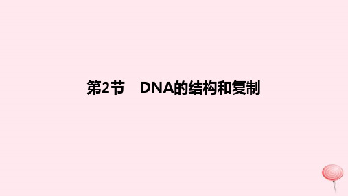 2024版高考生物一轮复习教材基础练第六章遗传的分子基础第2节DNA的结构和复制教学课件