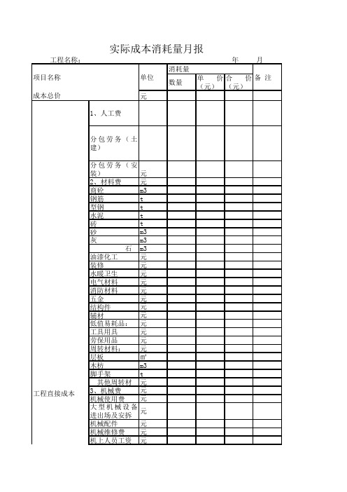 实际成本消耗量月报