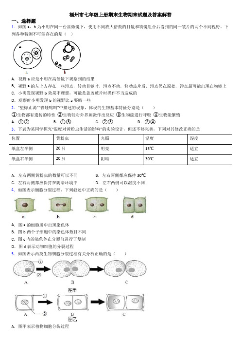 福州市七年级上册期末生物期末试题及答案解答