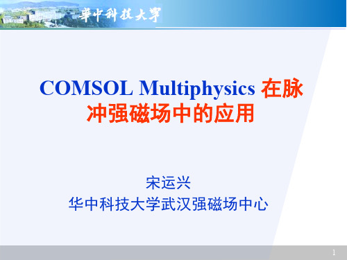 Comsol Multiphysics 在脉冲强磁场中的应用