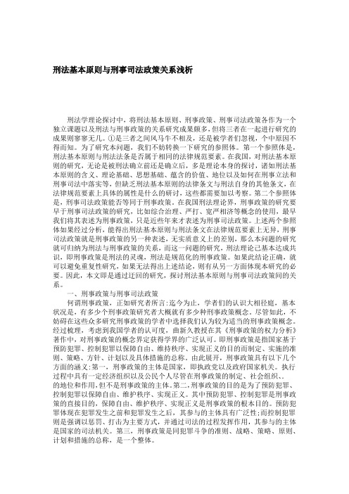 刑法基本原则与刑事司法政策关系浅析