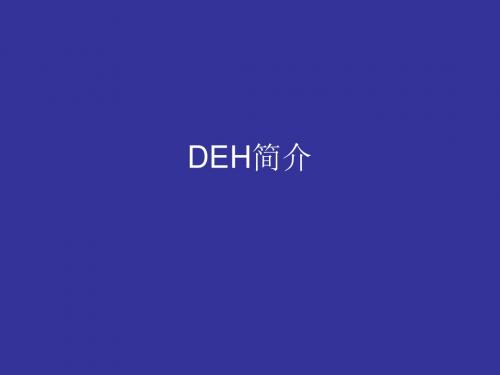 DEH概述