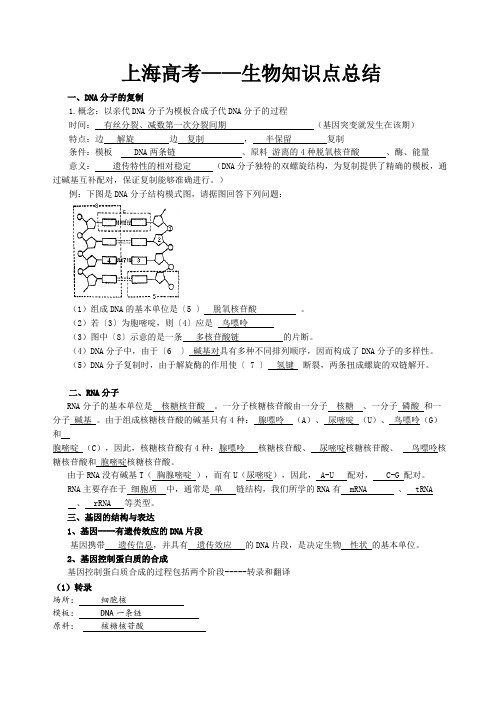 上海生物知识点总结(word文档物超所值)