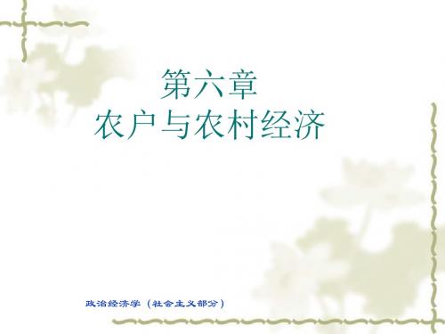 四川大学《政治经济学》社会主义部分第六章：农户与农村经济汇总