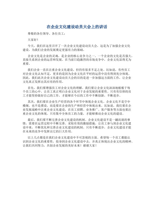 在企业文化建设动员大会上的讲话