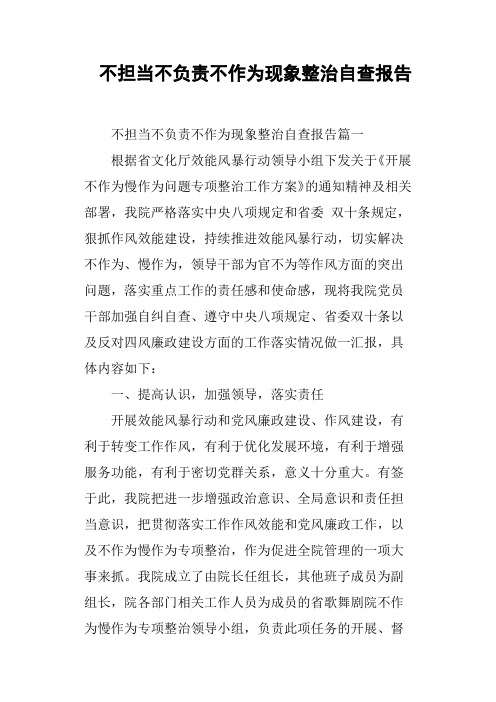 不担当不负责不作为现象整治自查报告