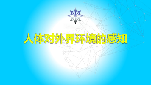 人教版生物7年级下册4.6.1人体对外界环境的感知课件 (共30张PPT)
