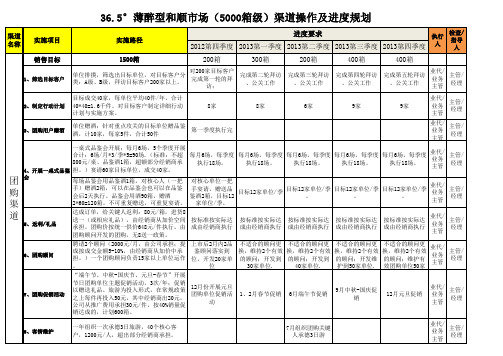 A级市场渠道操作与资源配置及进度规划表