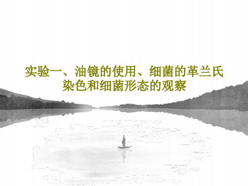 实验一、油镜的使用、细菌的革兰氏染色和细菌形态的观察共25页