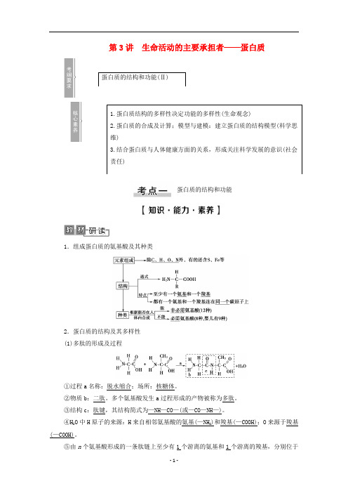 高考生物一轮复习 第1单元第3讲 生命活动的主要承担者——蛋白质教学案 新人教版必修1