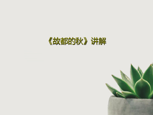 《故都的秋》讲解共42页