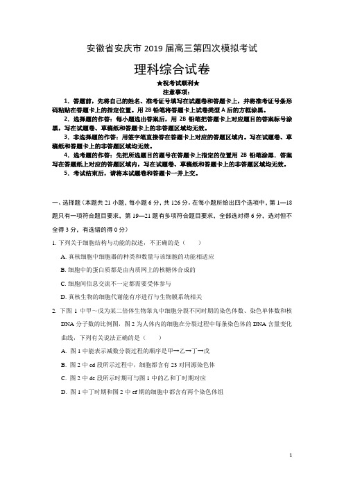 安徽省安庆市2019届高三第四次模拟考试理科综合试题